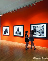 Students visiting the Foam Museum