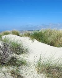 Le Touquet