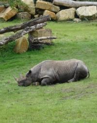 Leipzig Zoo