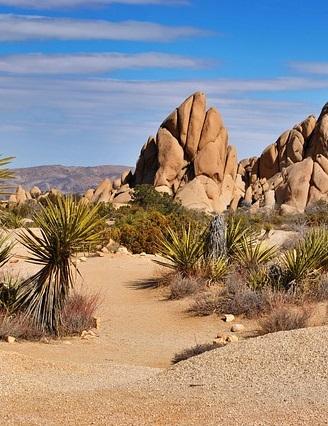 Mojave National Preserve