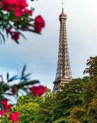 Paris Private Tour