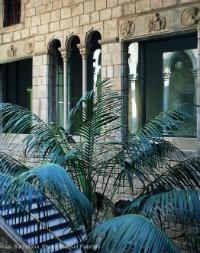 Picasso museum