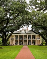 Plantation