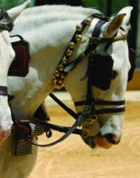 Royal Andalucian School Of Equestrian Art Andalucia Spain