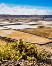 Salt Pans