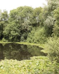 Spanbroekmolen Crater (The Pool of Peace)