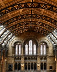 The Natural History Museum