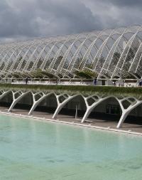 The Umbracle