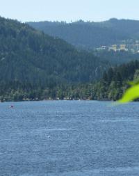 Titisee