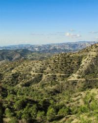 Troodos Mountains