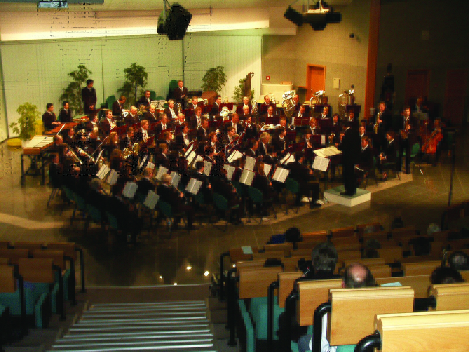 Orchestra