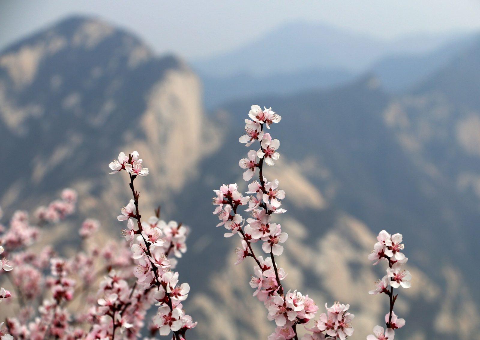 Post image for How Can Young Learners Experience Chinese Culture And Tradition?