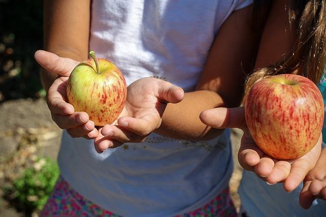 La Ferme du Lavoir Apple Farm