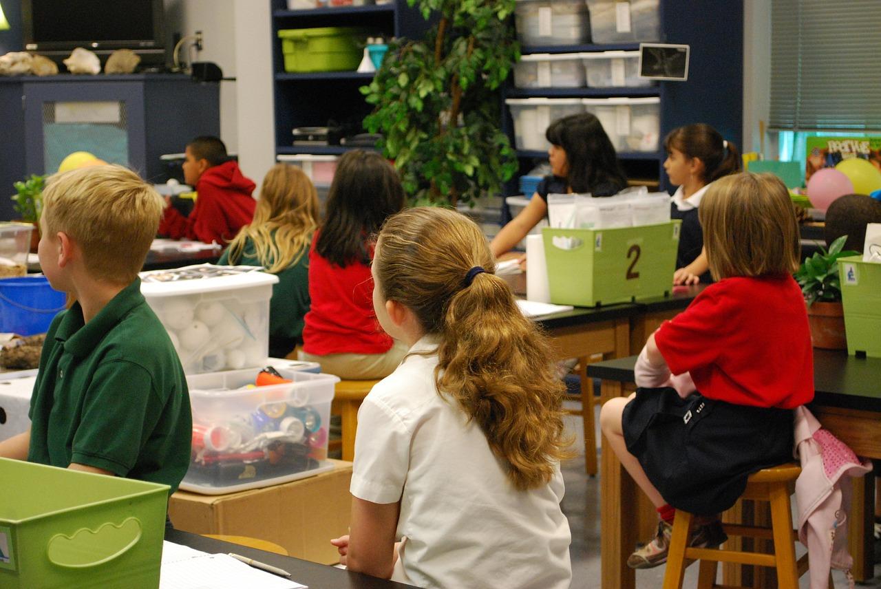 Science primary class Science primary class