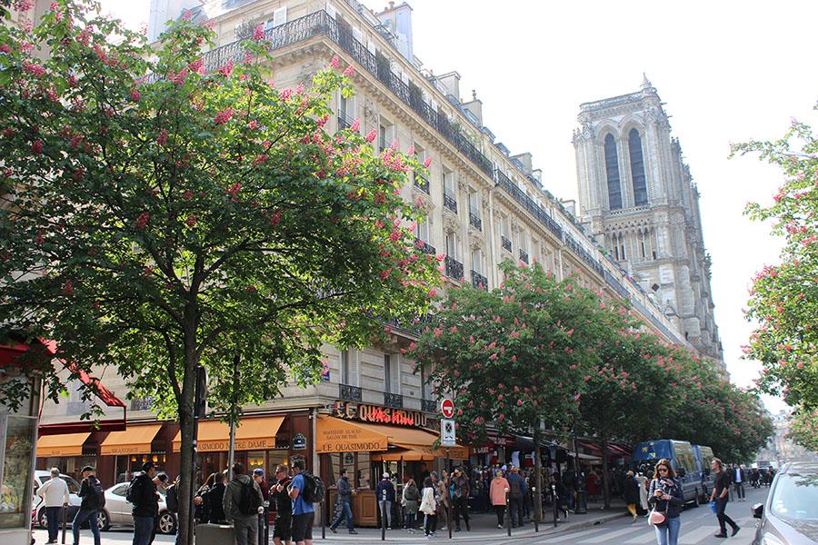 Ile de la cite neighbourhood