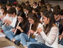 Local schools