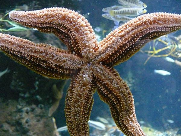 new_england_aquarium new_england_aquarium