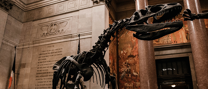 nhm_nyc_blog nhm_nyc_blog
