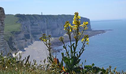 Post image for Build An Authentic Cultural Experience For Your Students In France