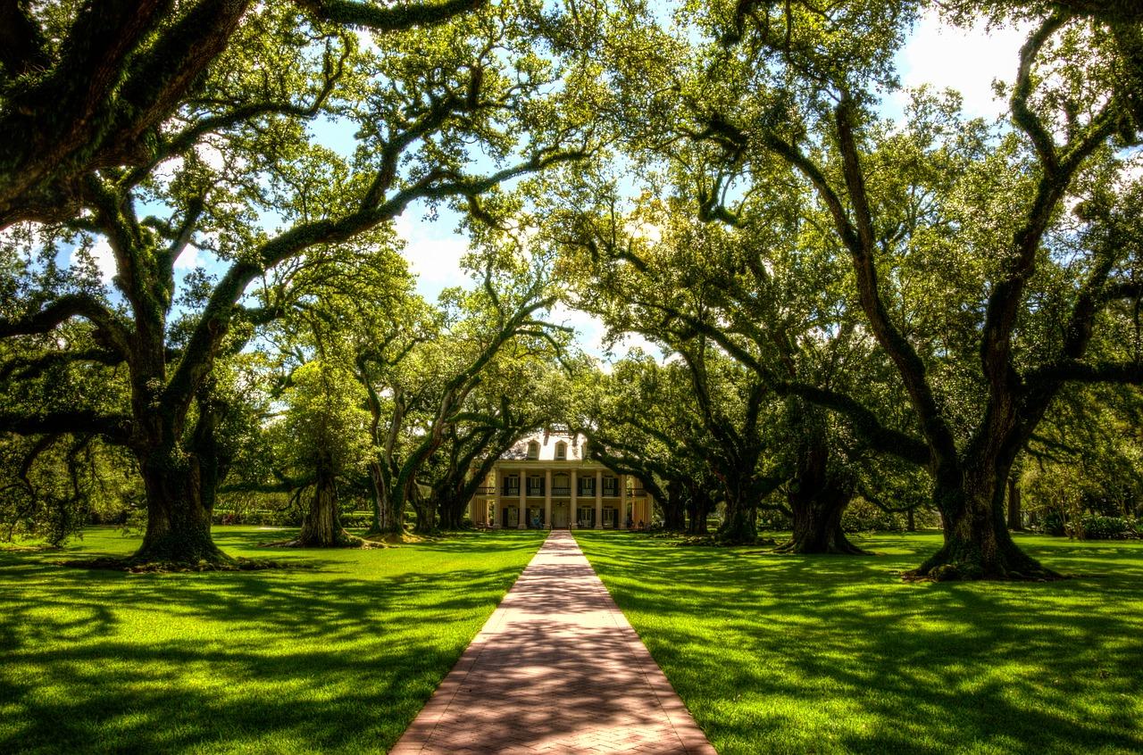 school trip louisiana