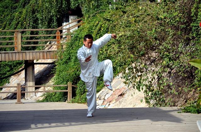 Kung Fu lessons