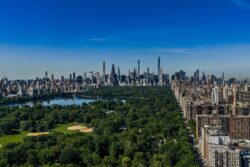 Aerial,View,Of,The,Central,Park,In,Nyc,With,Green