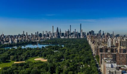 Aerial,View,Of,The,Central,Park,In,Nyc,With,Green