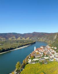 The Rhine