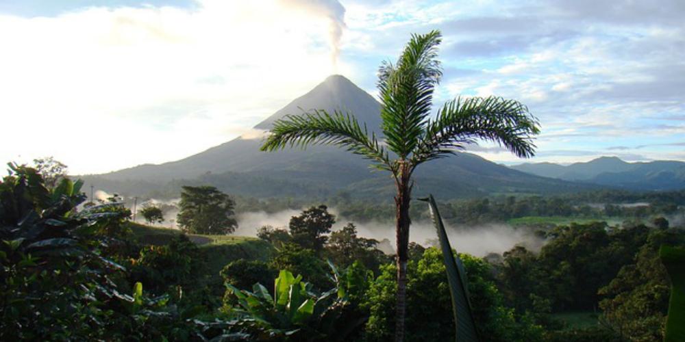 Costa Rica Sloth