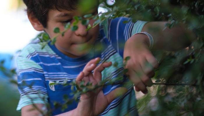 Adorable child with a mischievous smile exploring the foliage as he plays an engaging game in the garden. Creating safe and engaging outdoor spaces for children to explore and have fun