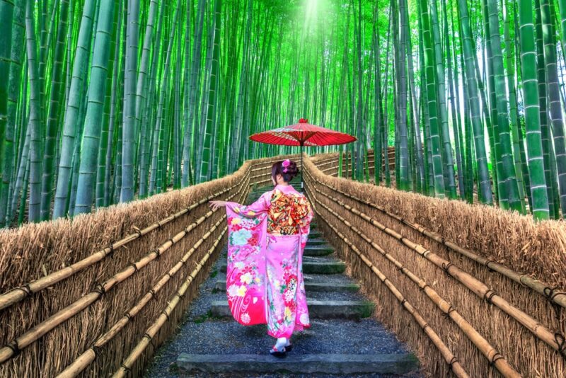 Japanese lady wearing a colourful kimono in Bamboo Forest in Kyoto, Japan