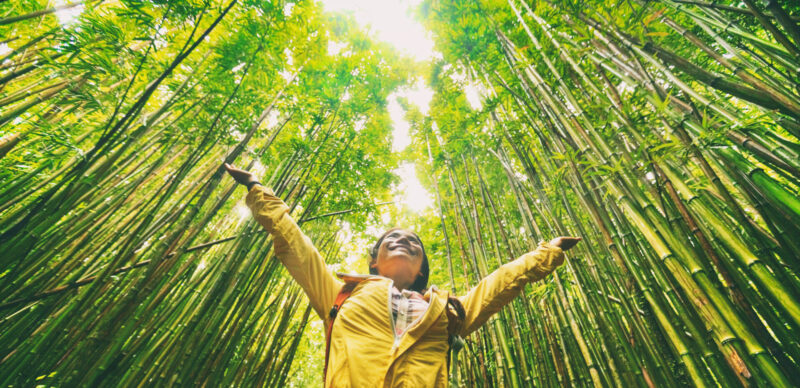 Student enjoying being in a forest