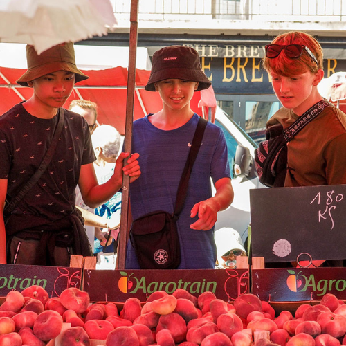 6 standout excursions for your school trip to Berlin