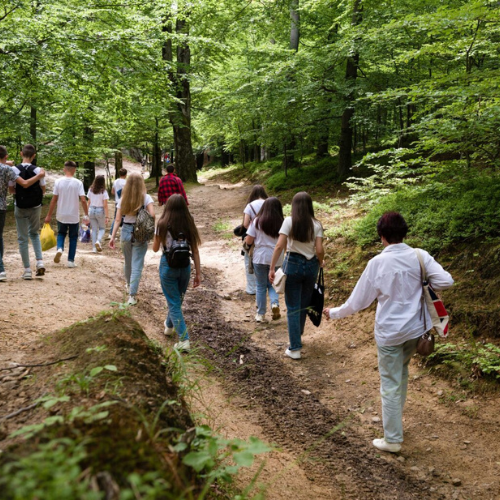 MFL-blog-4