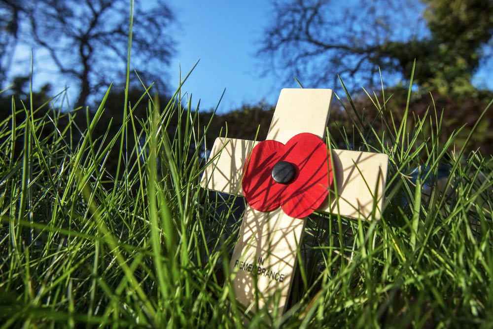 Rememberance red poppy on a cross in the grass