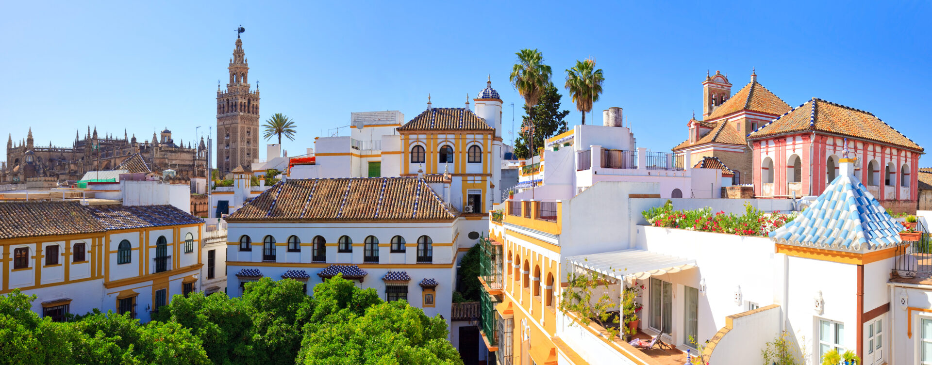 Post image for A First-Time Trip Leader’s Guide to Spanish Immersion in Seville