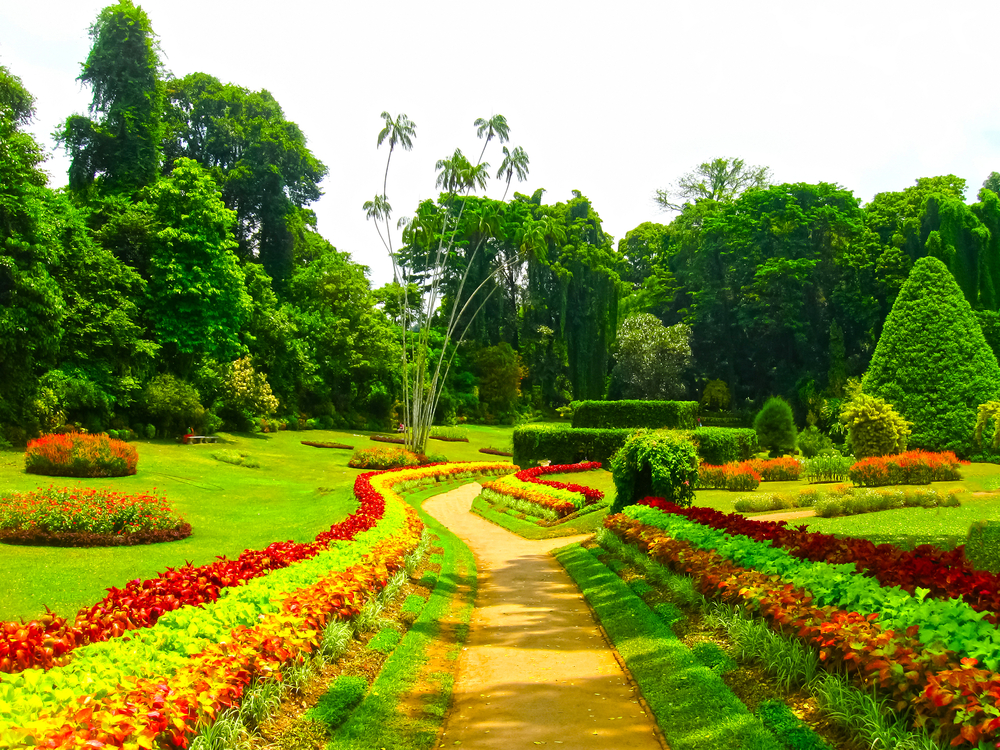 Royal Botanical garden Peradeniya, Sri Lanka
