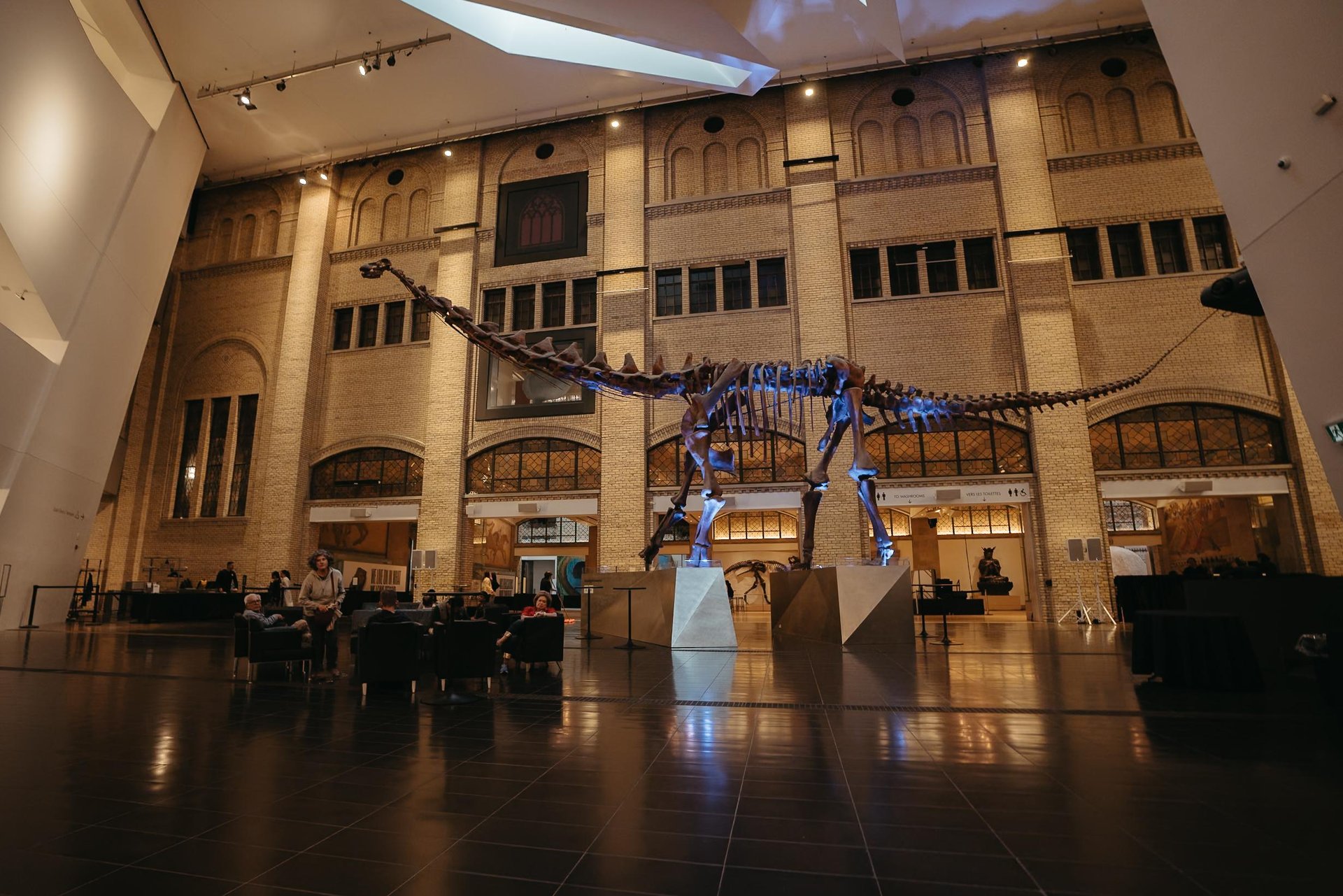Life-size dinosaur skeleton at the Royal Ontario Museum in Toronto, Canada. © Destination Toronto