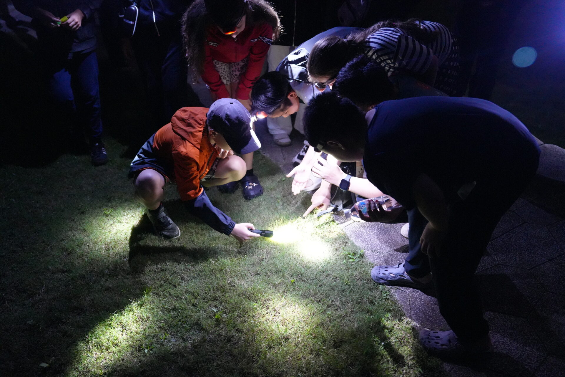 Students on a nocturnal forest walk in the Giant Panda National Park in Chengdu