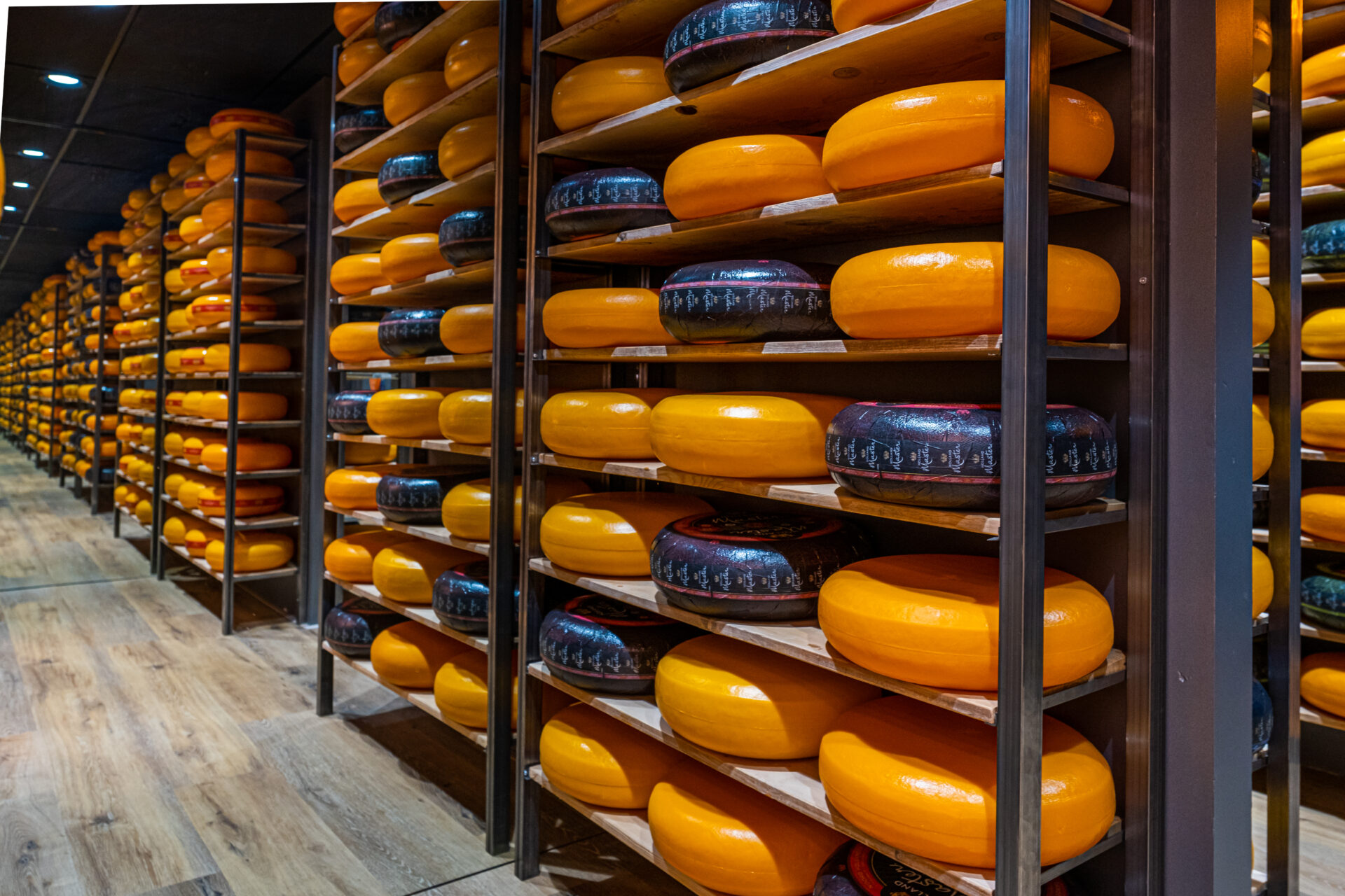 A stock of Gouda cheeses at the Gouda Cheese Experience in Rotterdam