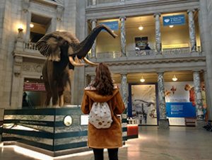 Museum of Natural History – The Smithsonian Institution Museum of Natural History - The Smithsonian Institution