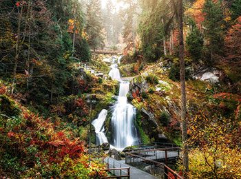 Waterfalls of Triberg Waterfalls of Triberg